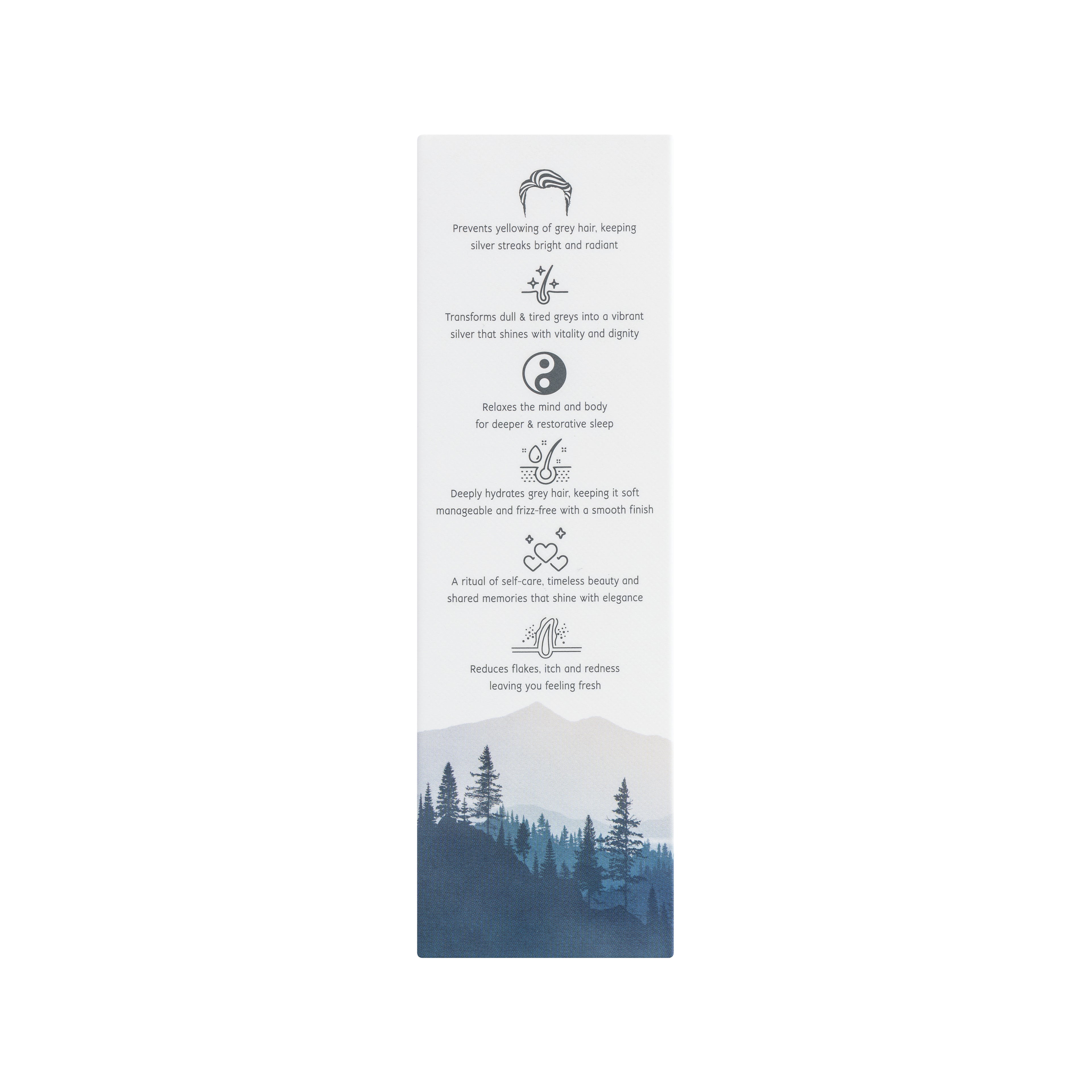 Hair Elixir – Grey (Men) | Ritual of Experience and Strength